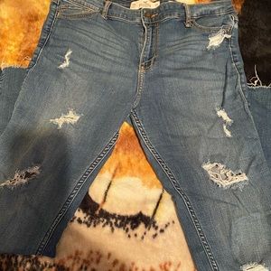 Hollister jeans (size 15